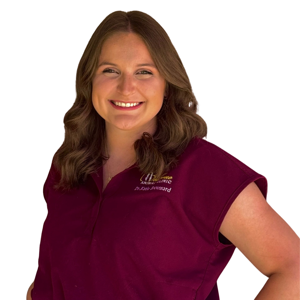 Dr. Katie Broussard